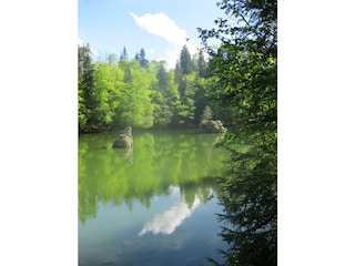 Appartamento per vacanze Fügen Ambiente 23