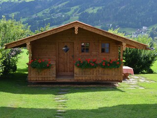 Appartamento per vacanze Fügen Registrazione all'aperto 7