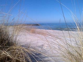 Ferienhaus Behrensdorf Umgebung 18