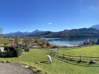 Ausicht auf den Weißensee und Bergpanorama