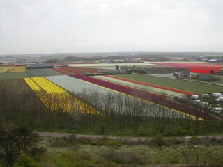 Blick in die Landschaft
