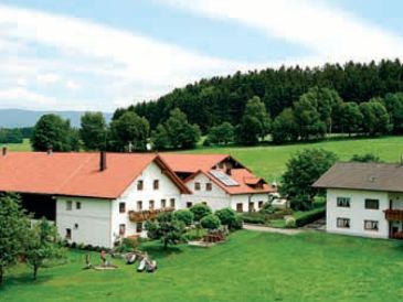 Bauernhof Peterhof - Ferienwohnung Lavendel