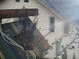 Appartamento per vacanze Rauris Registrazione all'aperto 11