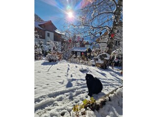 Holiday apartment Rauris Outdoor Recording 5