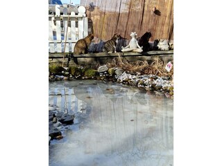 Holiday apartment Rauris Outdoor Recording 6