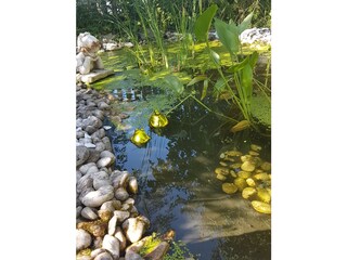 Appartamento per vacanze Rauris Registrazione all'aperto 8