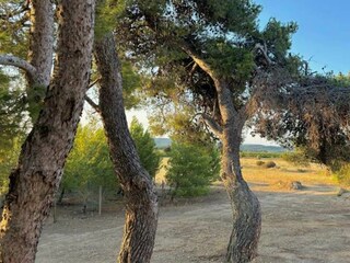 Holiday house Argens-Minervois Environment 14