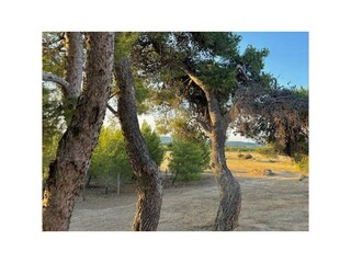 Ferienhaus Argens-Minervois Umgebung 20