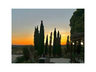 Ferienhaus Argens-Minervois Umgebung 26