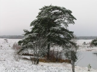 Winter in der Döhler Heide