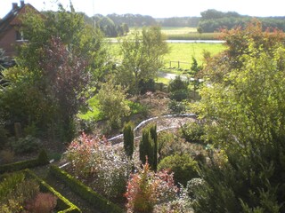 Blick aus dem Küchenfenster