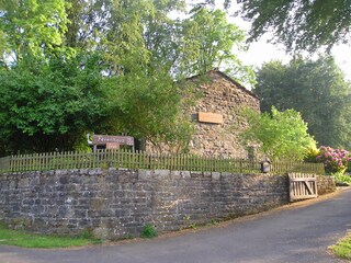 Street view with driveway
