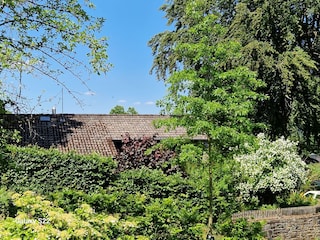 Südostansicht vom Wanderweg 57