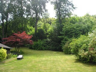 Garden of the cottage