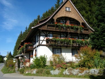 Ferienwohnung gemütlich unter dem Dach