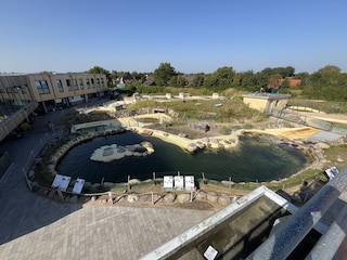 Die Seehundstation ganz in der Nähe