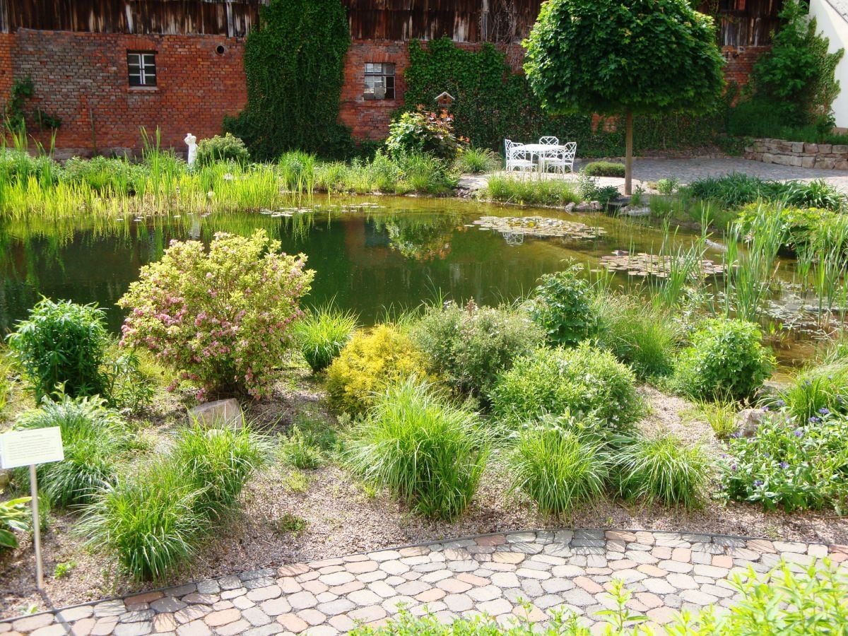 Teich im Frühling