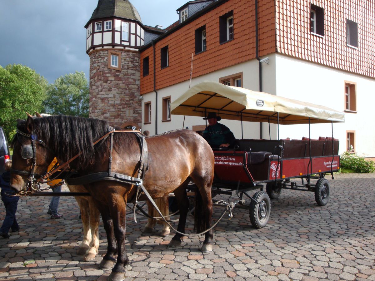 Ausflug per Pferdekutsche