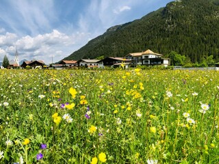 Appartamento Bichlbach Registrazione all'aperto 8