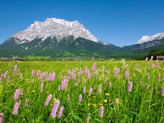 Appartamento Bichlbach Ambiente 22