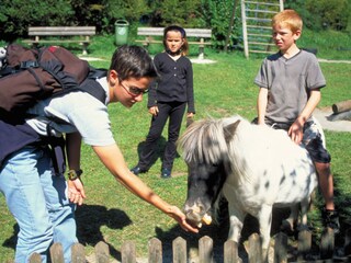 Appartamento Bichlbach Ambiente 24