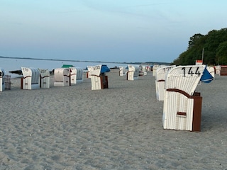 Strand vor dem Ostseenest