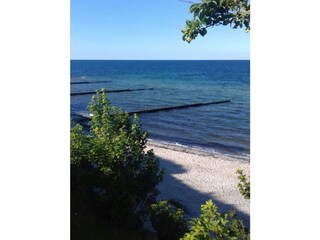 Strand vor dem Ostseenest