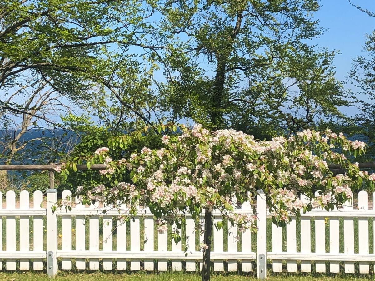 Blick in den Garten und auf die Meerseite