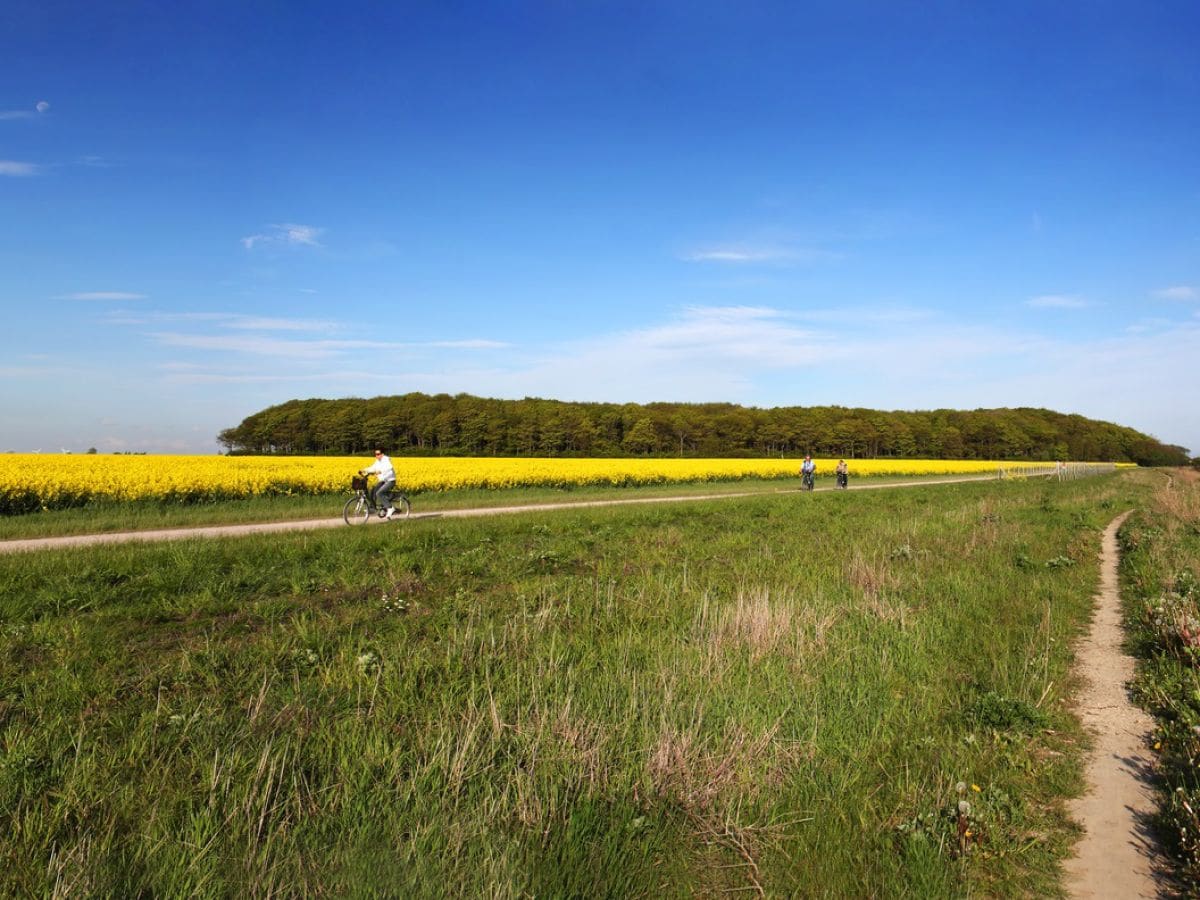 Mit dem Fahrrad immer an der Küste entlang