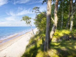 Strand und Gespensterwald Nienhagen