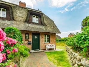 Ferienhaus Düne