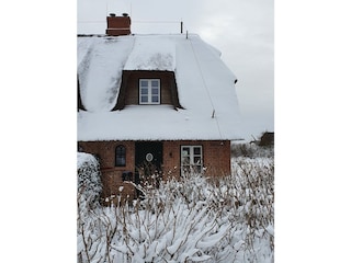 Sylt, im Winter wunderschön!