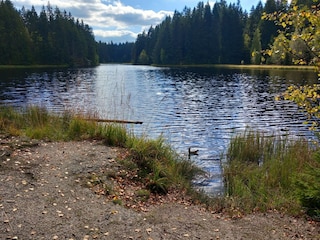 Casa de vacaciones Auerbach im Vogtland Grabación al aire libre 10