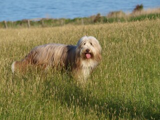Tipp unter Fusselschnuten: autofreie Wege