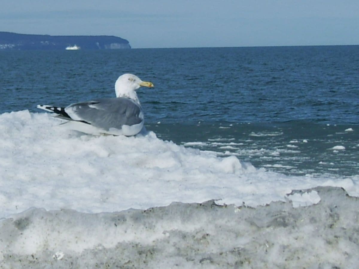 Lust auf Winter-Ostsee?