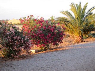 Casa per le vacanze Campos Ambiente 16