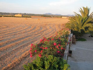 Casa per le vacanze Campos Ambiente 17