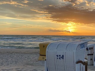 Strandkorbverleih direkt am Strand