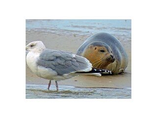 Appartamento per vacanze Egmond aan Zee Ambiente 23