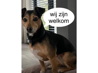 Appartamento per vacanze Egmond aan Zee Ambiente 24