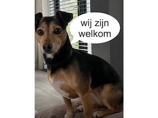 Ferienwohnung Egmond aan Zee Umgebung 26