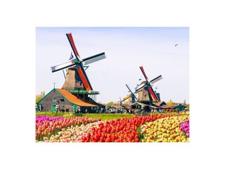 Vakantieappartement Egmond aan Zee Omgeving 13