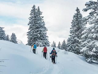 Schneeschuhwanderung
