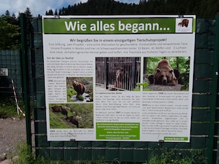 Der Wolf und Bärenpark  ca. 15 Gehminuten entfernt