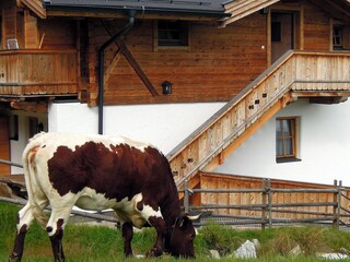 Appartamento per vacanze Hochkrimml Ambiente 4