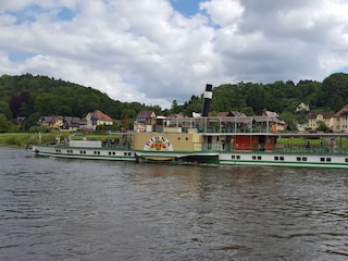 Ferienwohnung Gohrisch  17