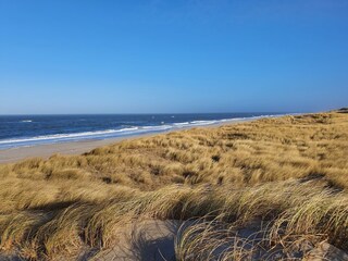 .... am gesamten Weststrand