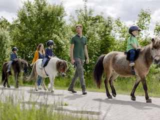 Jederzeit: Ponyreiten