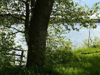 Direkt neben der Anlage liegt ein Binnensee