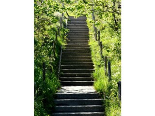 Appartamento per vacanze Westkapelle Ambiente 15